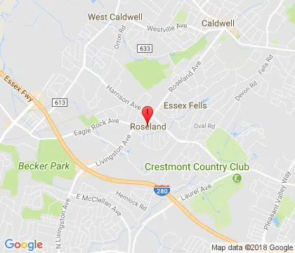 logo-image - roseland-nj